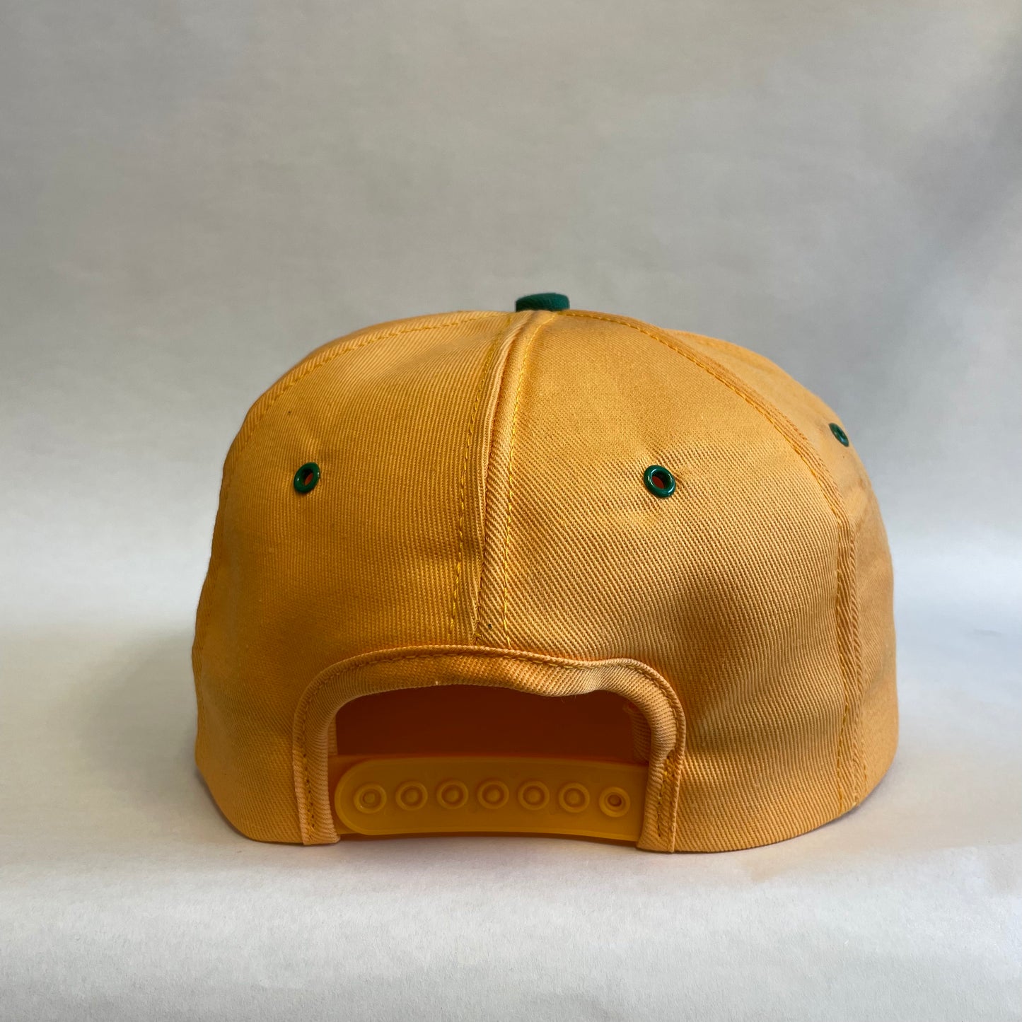 Vintage Dekalb Snapback Hat