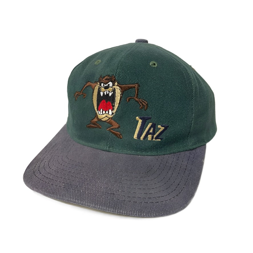 Vintage Taz Warner Bros Hat