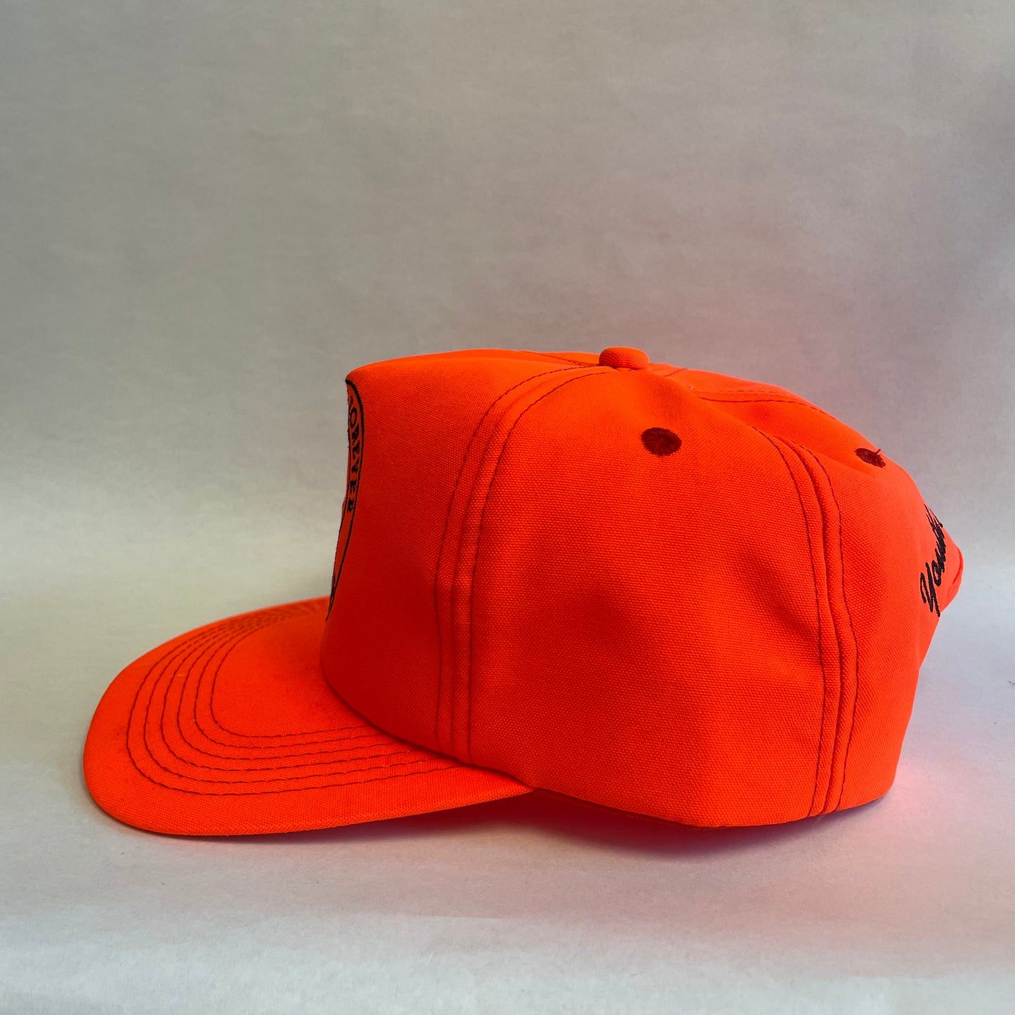 Vintage Pheasants Forever Nebraska Game and Parks Snapback Hat