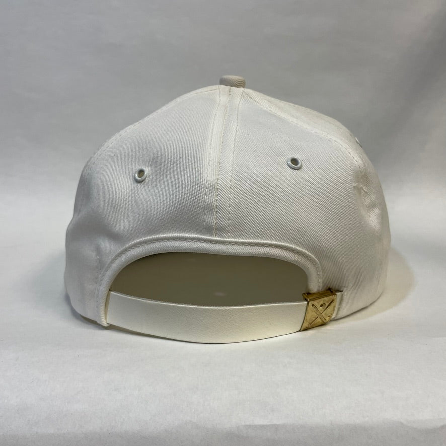 Vintage Chevron 'From the Heart of the West' Phosphate Strapback