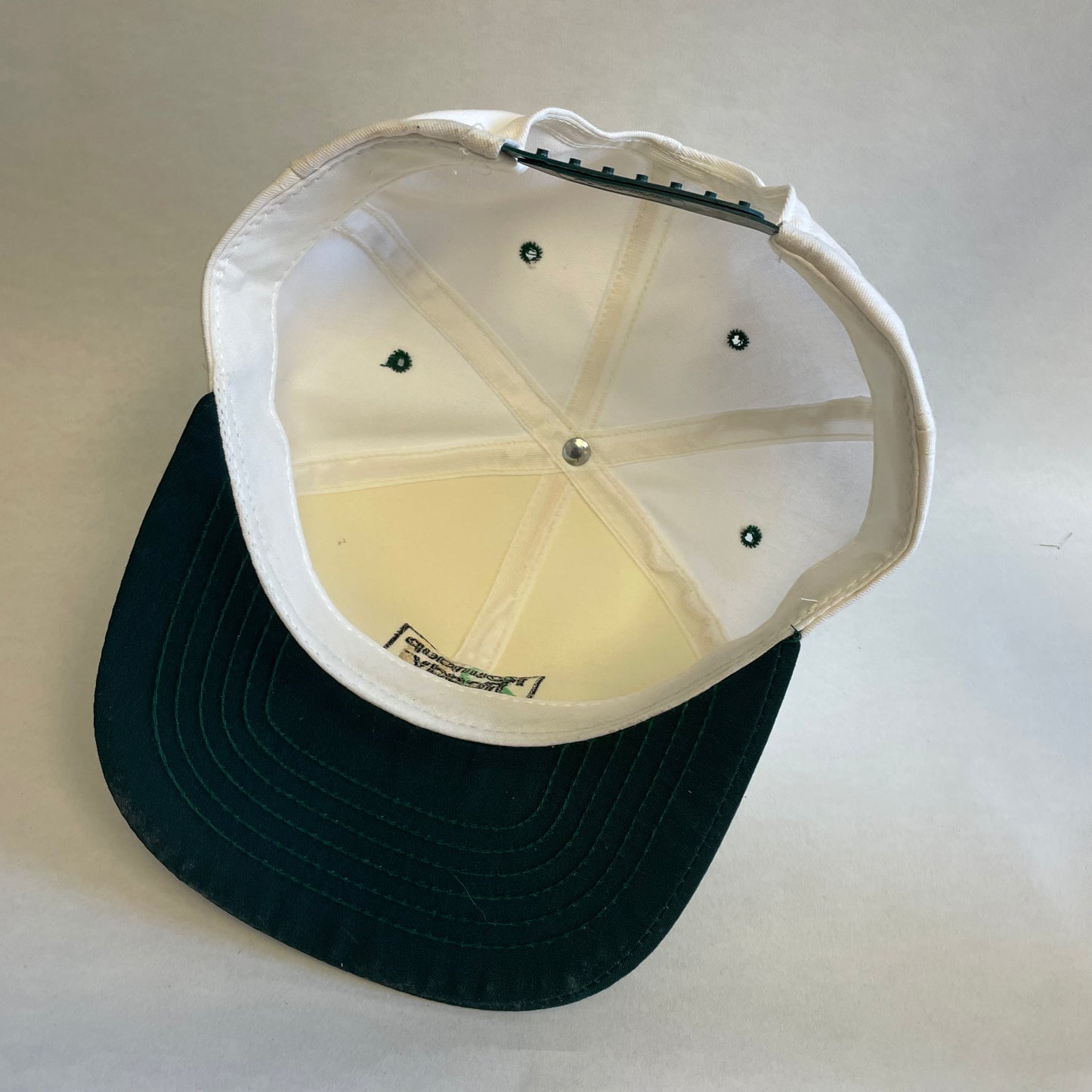 Vintage Roundup Ready Soybean Snapback Hat