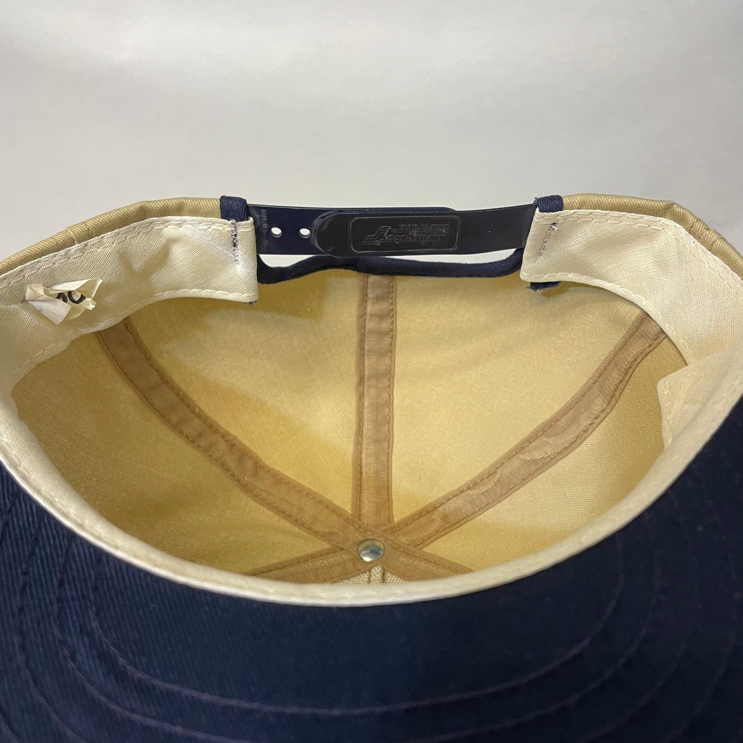 Vintage Hoegemyer Hybrids Snapback