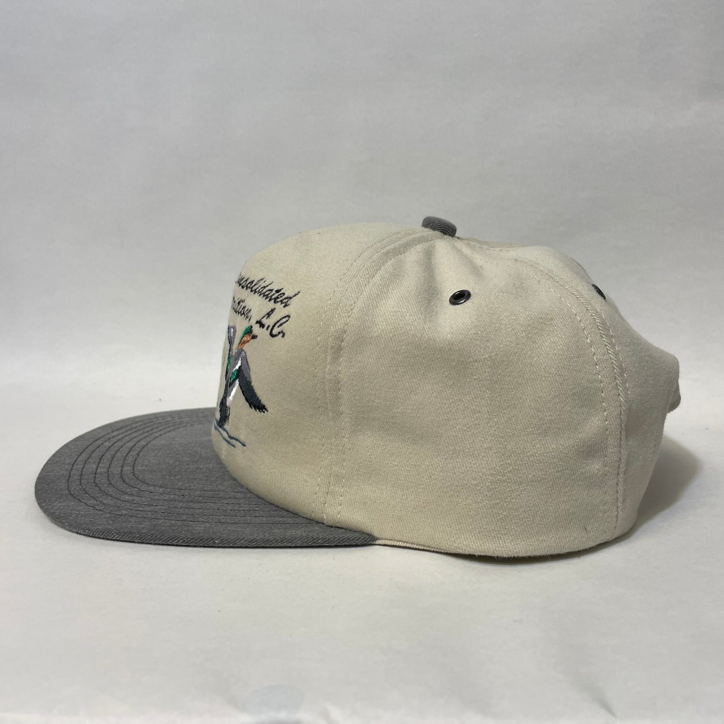 Vintage Consolidated Nutrition Ducks Snapback