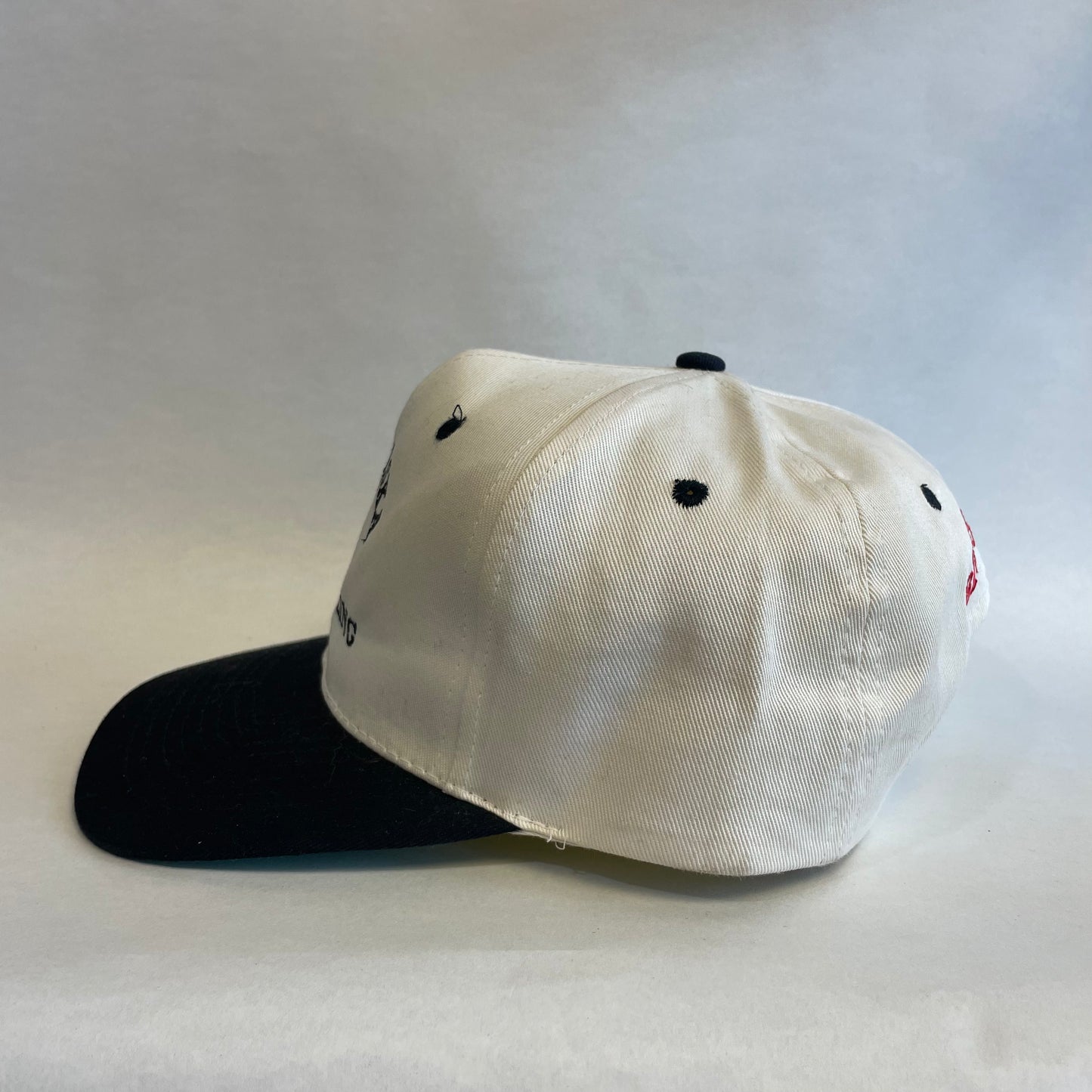 Vintage Nebraska Huskers Wrestling 1995 BIG 8 Champions Snapback Hat