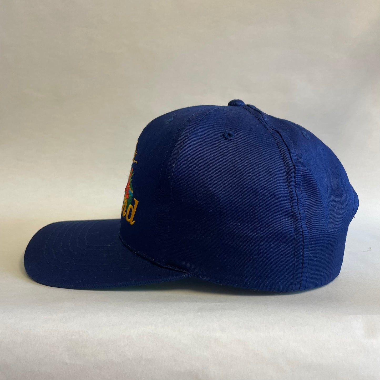 Vintage Holland Netherlands Snapback Hat
