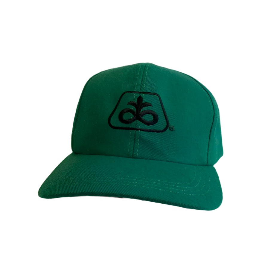 Vintage Pioneer Seed Snapback Hat