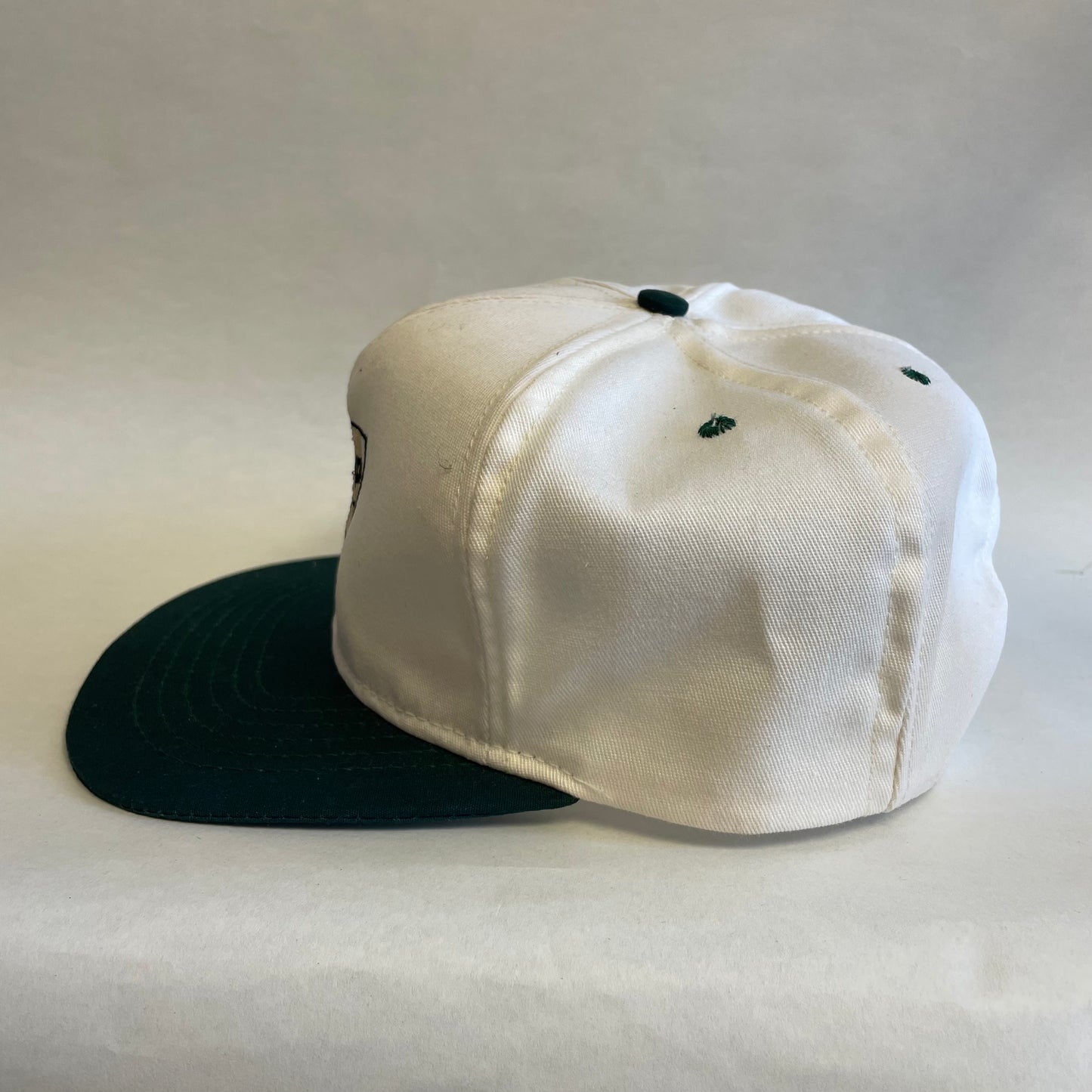 Vintage Roundup Ready Soybean Snapback Hat