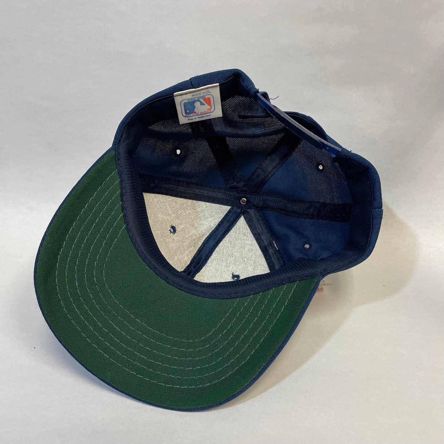 Vintage Minnesota Twins Snapback Hat (New with tags)