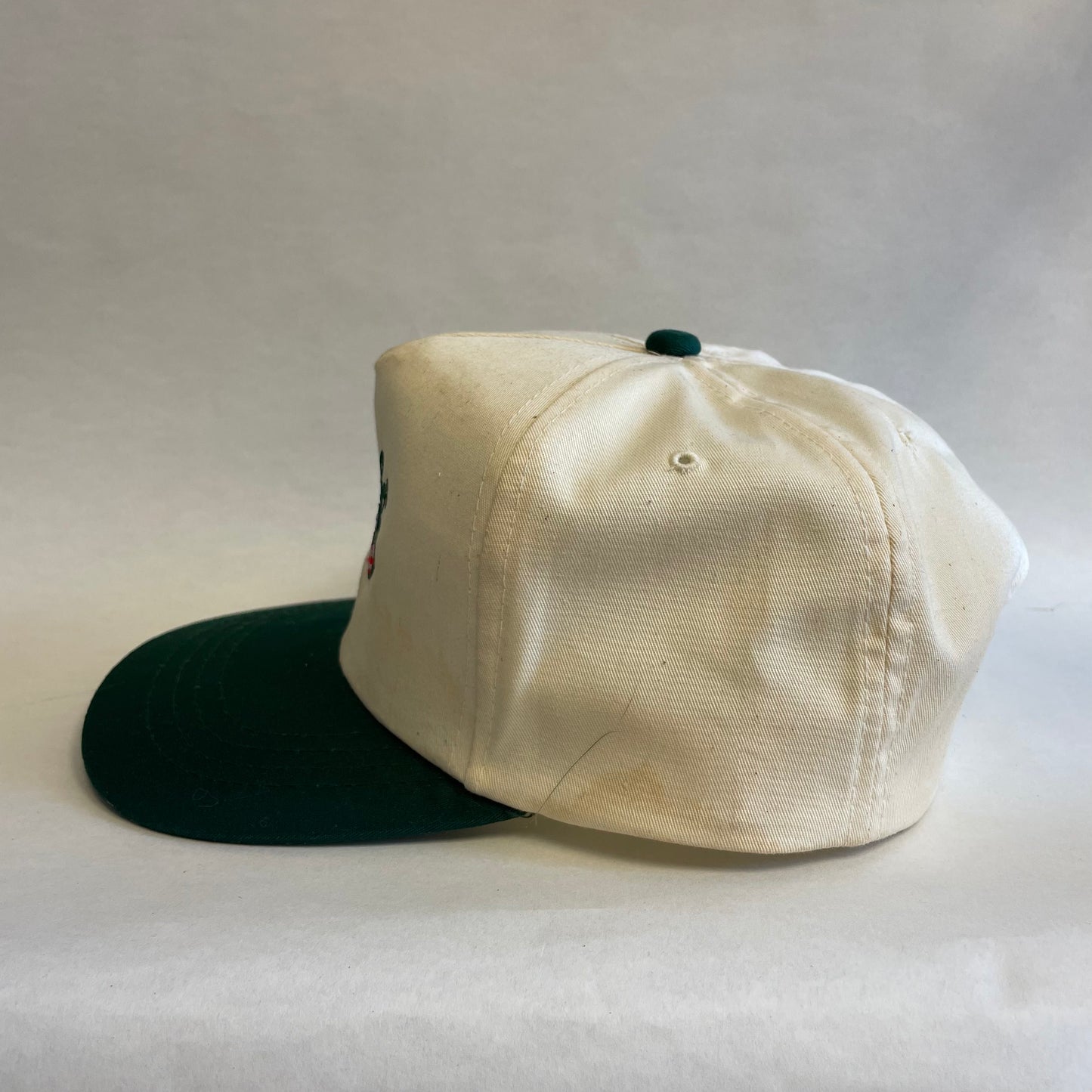 Vintage Colombo Strawberry Farm Snapback Hat