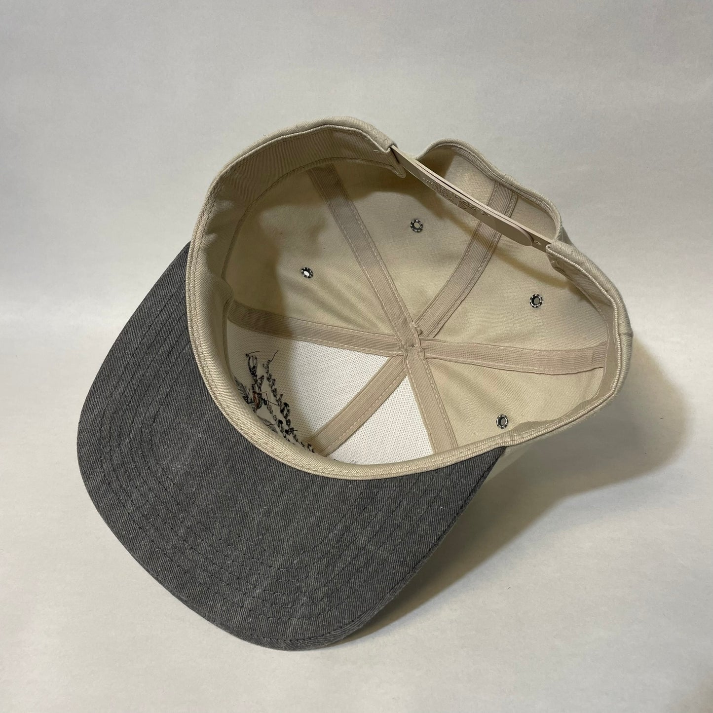 Vintage Consolidated Nutrition Ducks Snapback