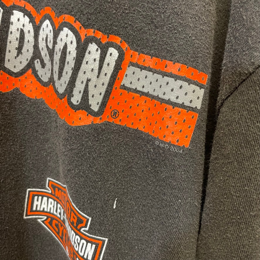 Vintage Harley Davidson Cowboy Texas Long Sleeve Shirt XL