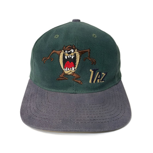 Vintage Taz Warner Bros Hat