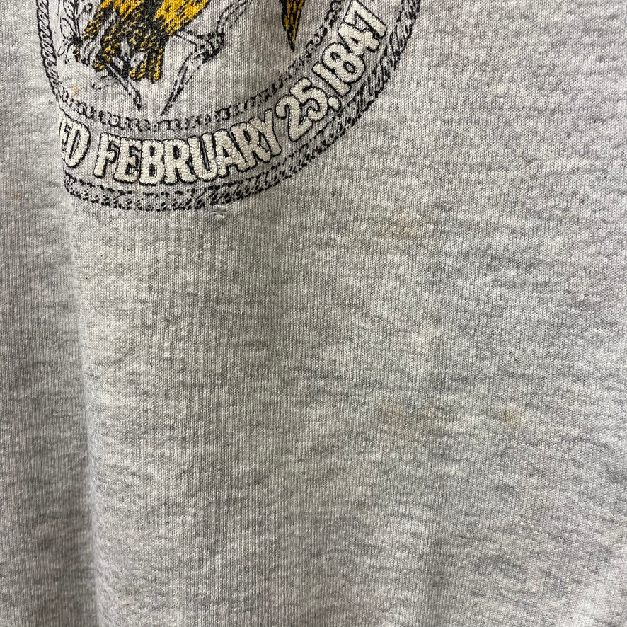 Vintage Iowa Hawkeyes Crewneck XL