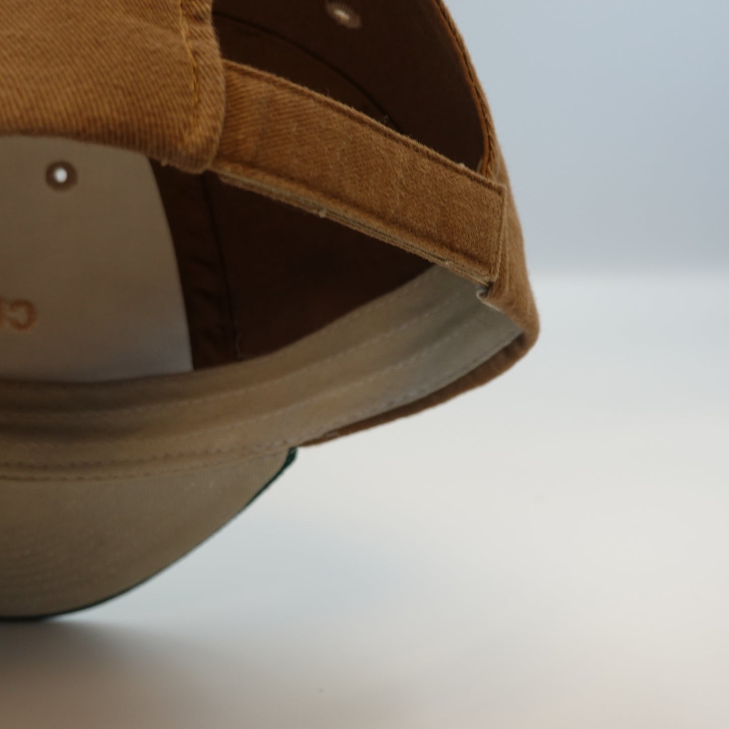 Vintage Circle Seed Hybrids Snapback Hat
