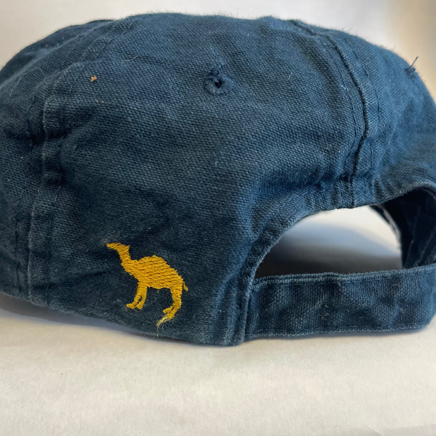 Vintage Camel Strapback Hat