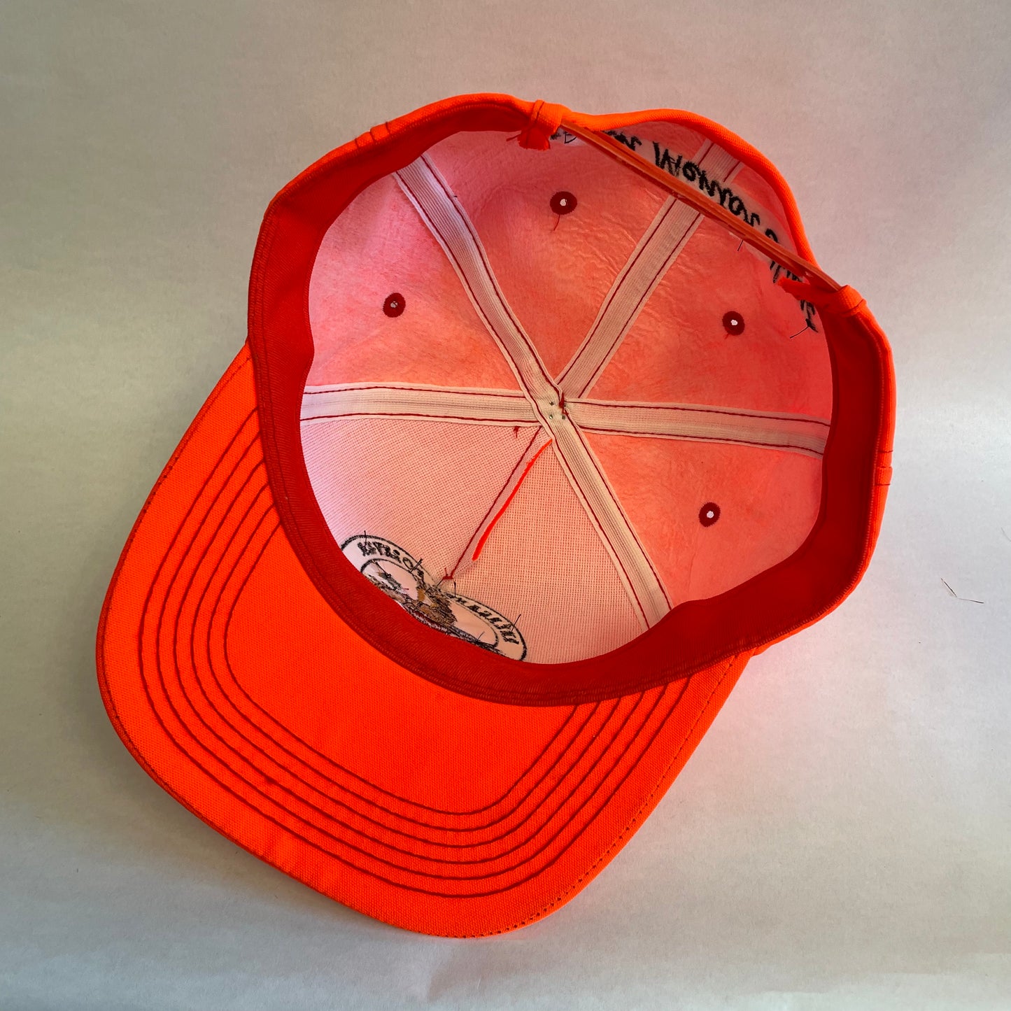 Vintage Pheasants Forever Nebraska Game and Parks Snapback Hat