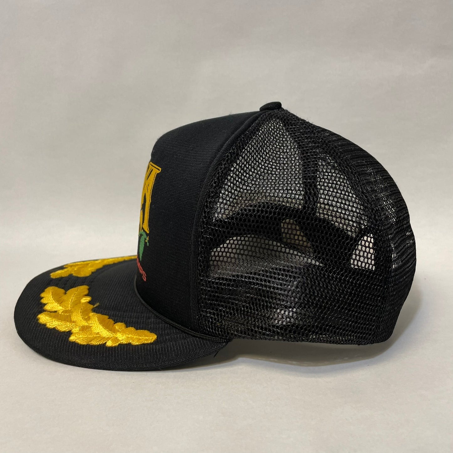 Vintage Iowa Hawkeyes Big Ten Champs Snapback