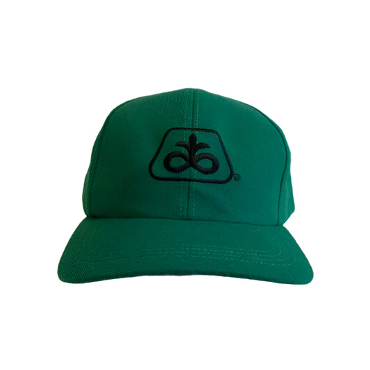 Vintage Pioneer Seed Snapback Hat