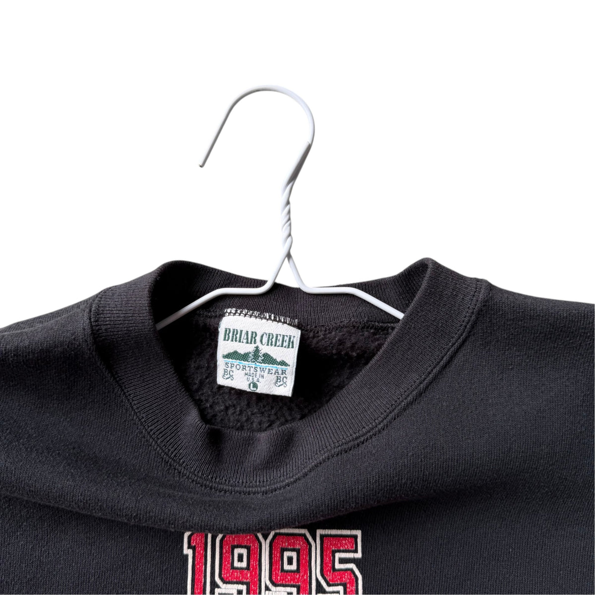 Vintage Nebraska Huskers 1995 National Champs Crewneck - L