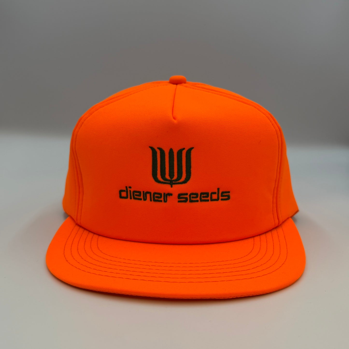 Vintage Diener Seeds Snapback Hat