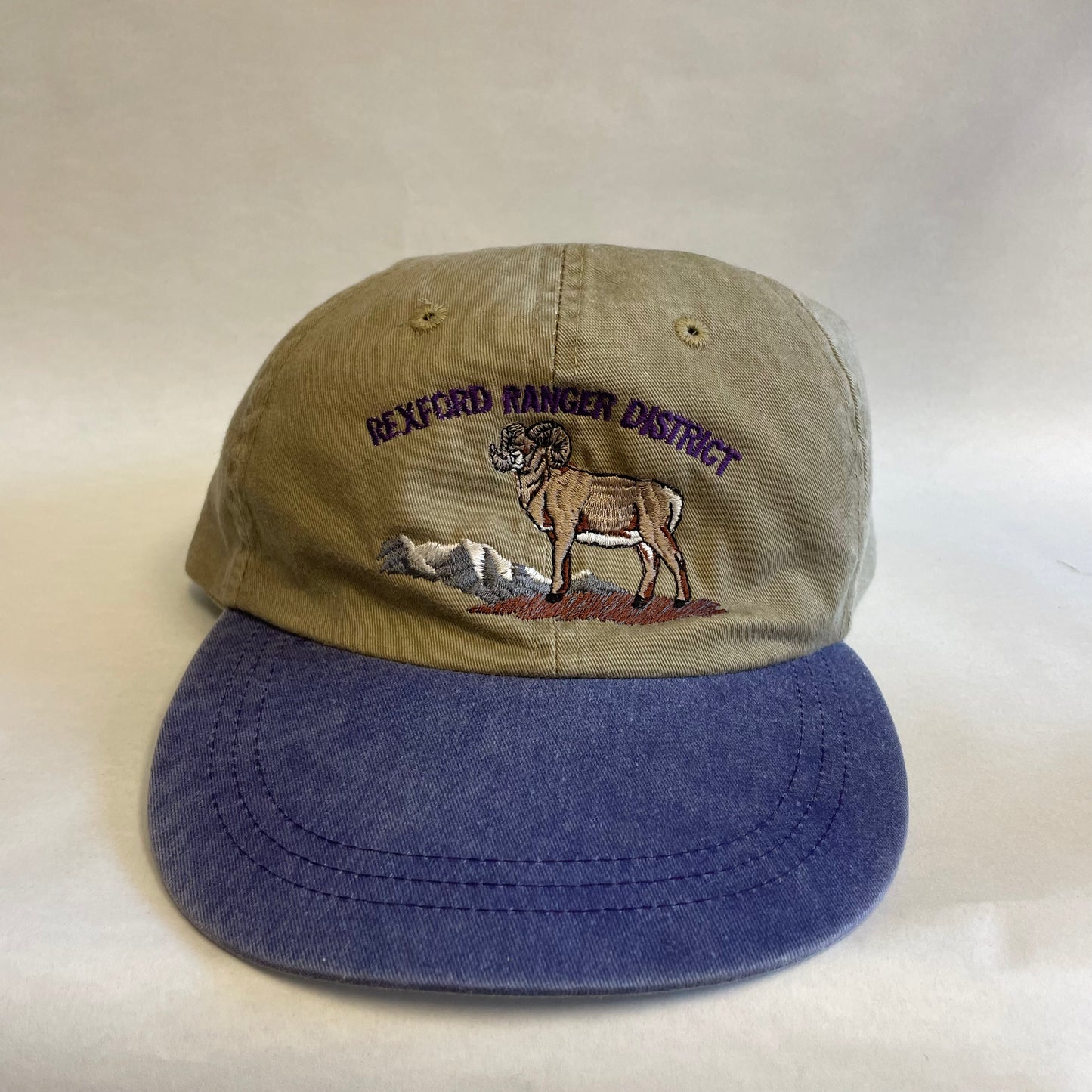 Vintage Rexford Rancher District Strapback Hat