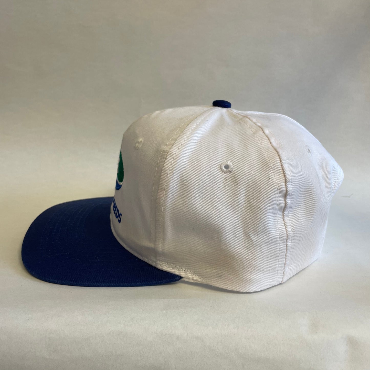 Vintage Novartis Seeds Snapback Hat