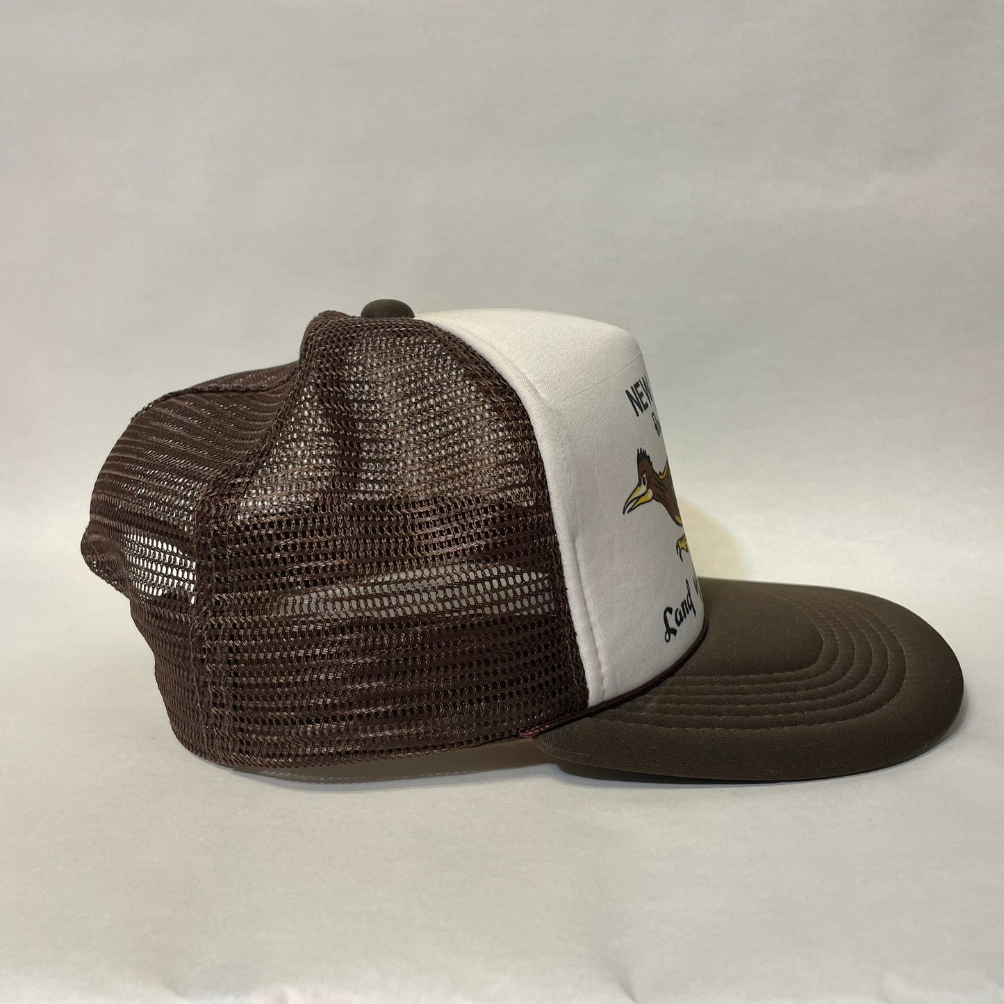 VIntage New Mexico Road Runner Snapback