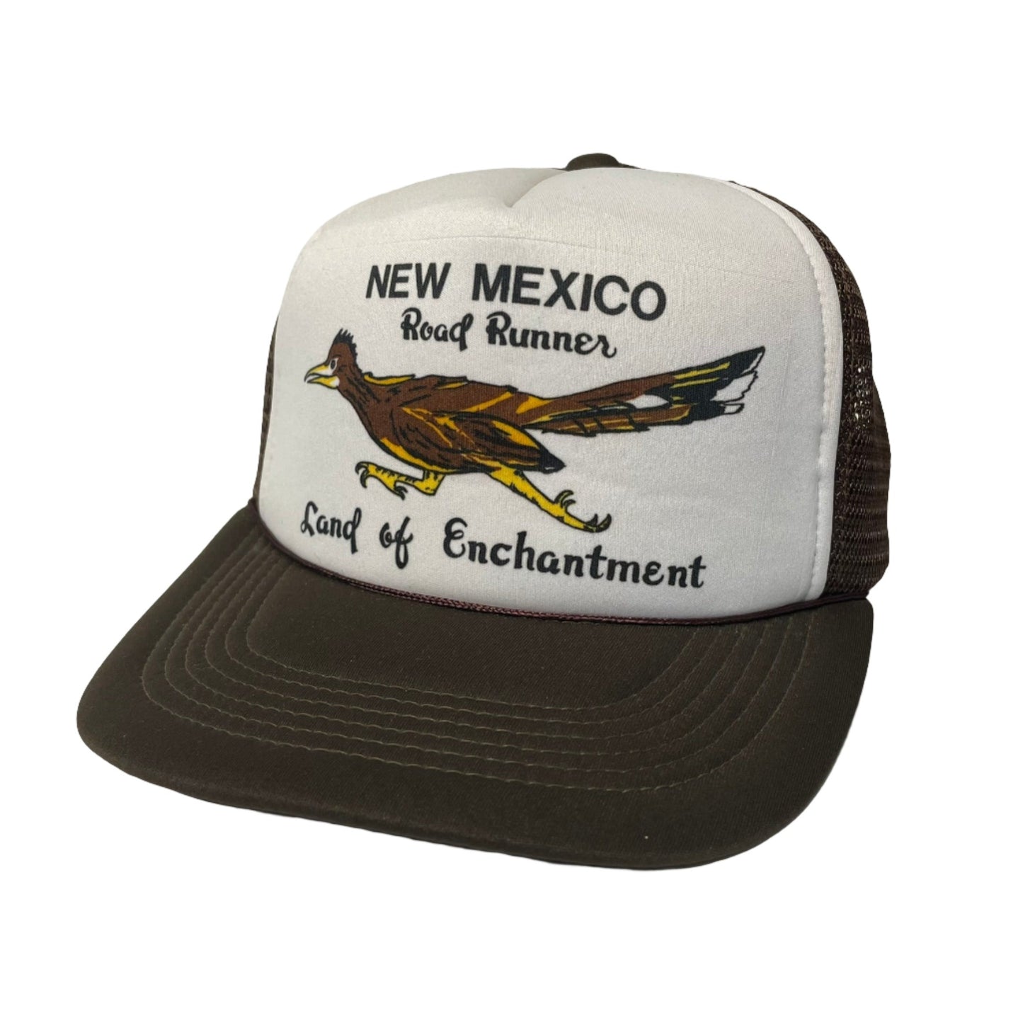 VIntage New Mexico Road Runner Snapback