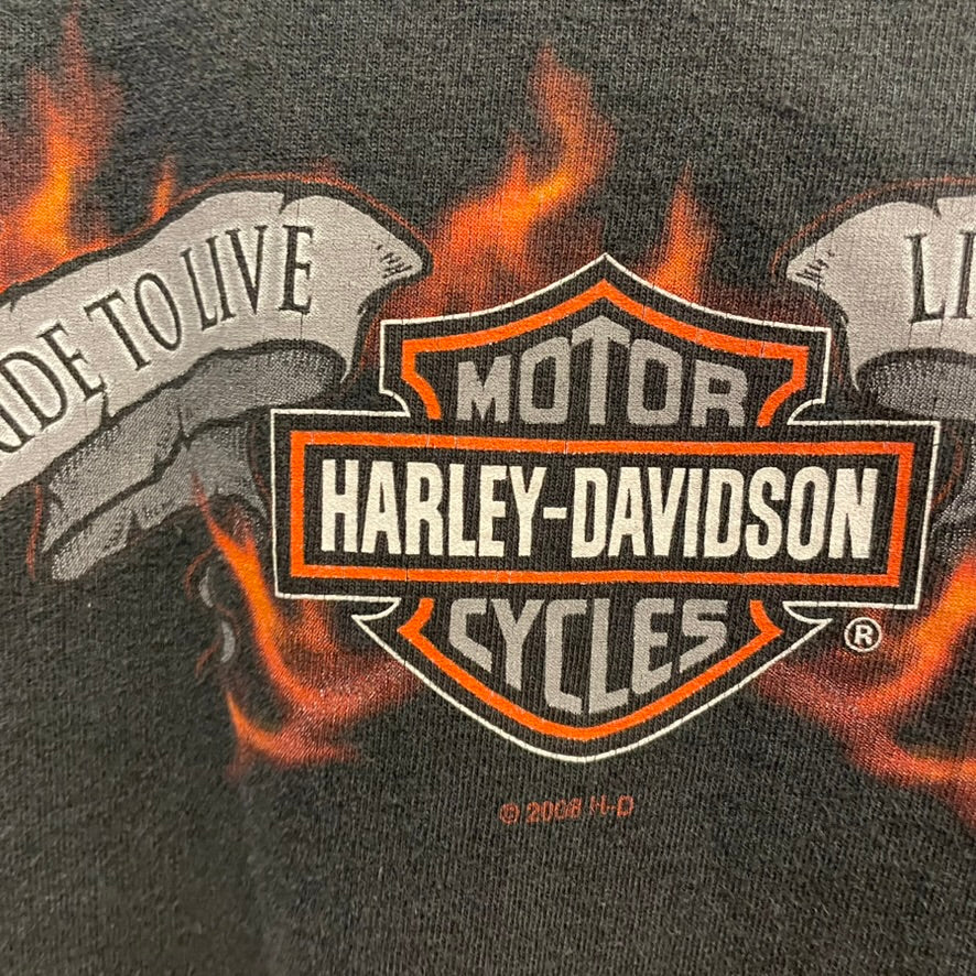 Vintage Harley Davidson Rogers Arkansas Tank Top Shirt L