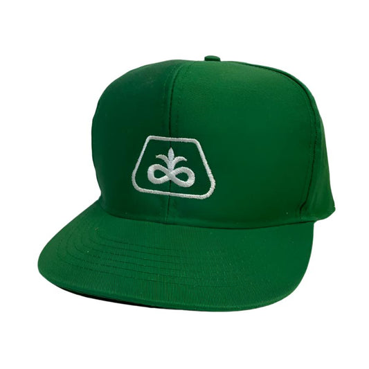 Vintage Pioneer Seed Snapback