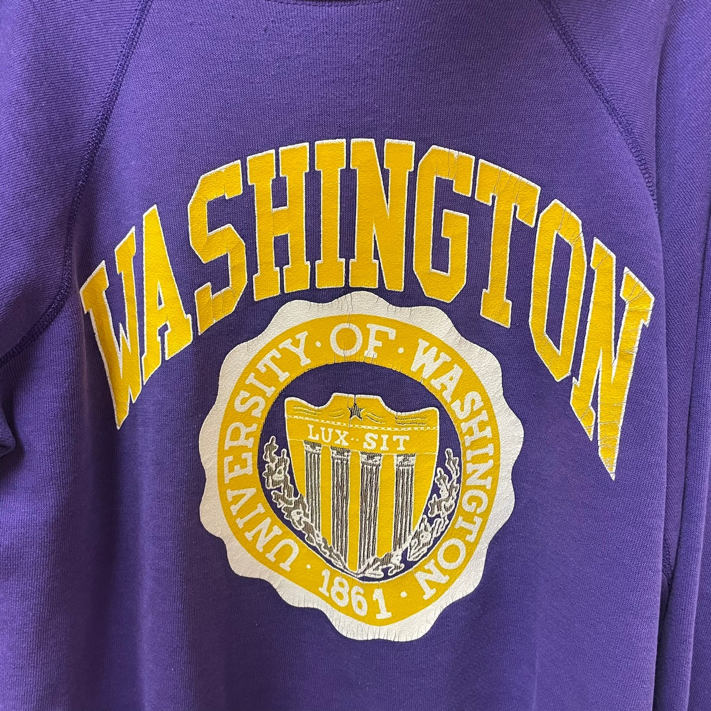 Vintage University of Washington Graphic Crewneck M