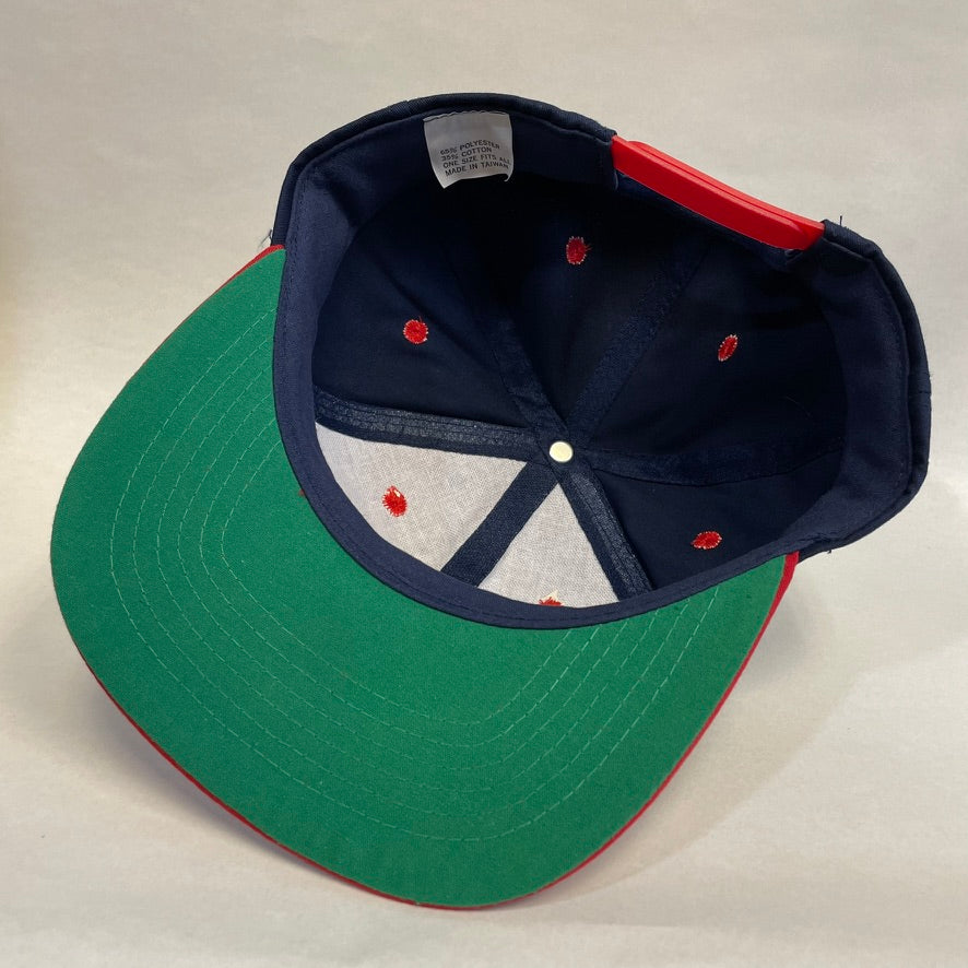 Vintage Napa Evercraft Snapback Hat