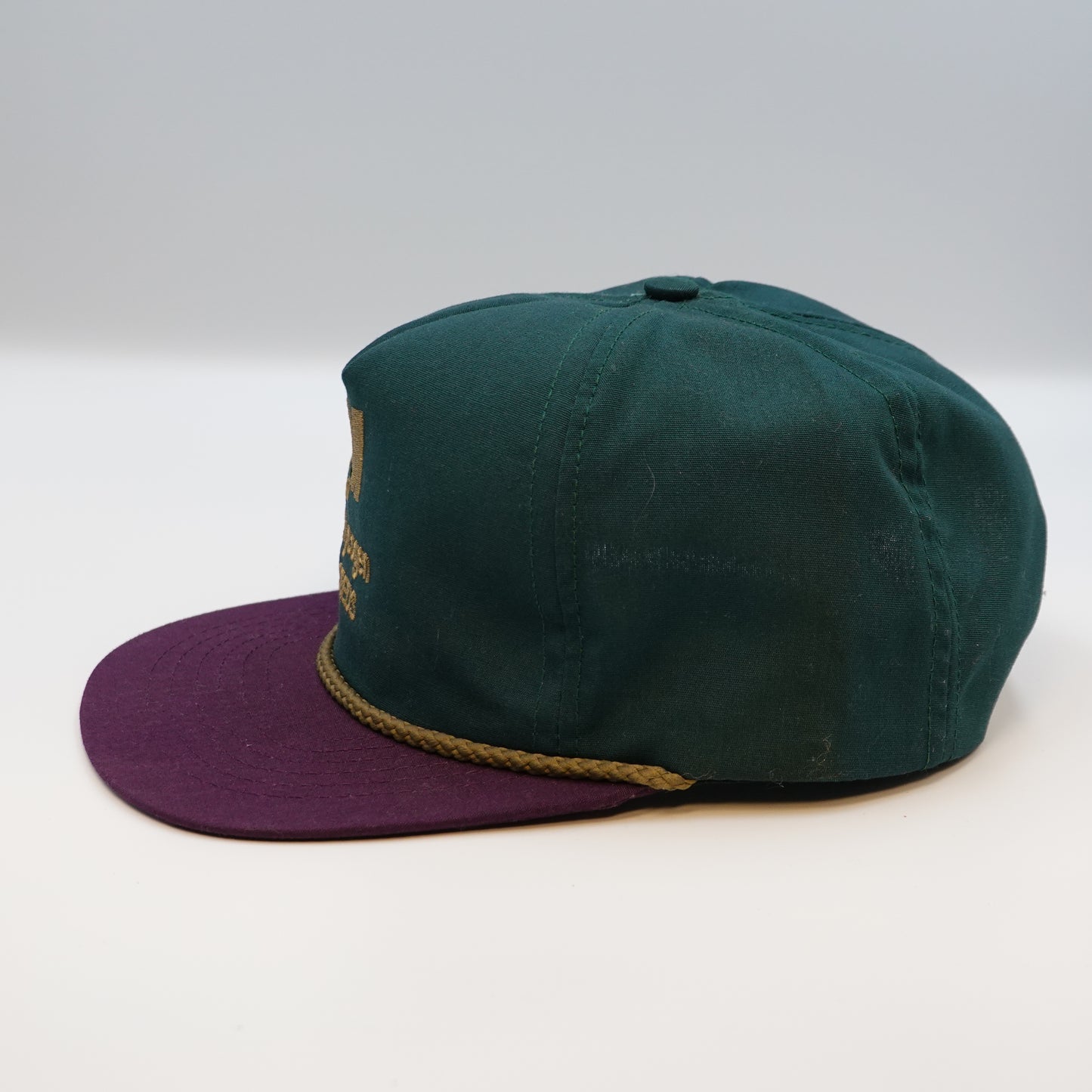 Vintage Mycogen Seeds Snapback Hat