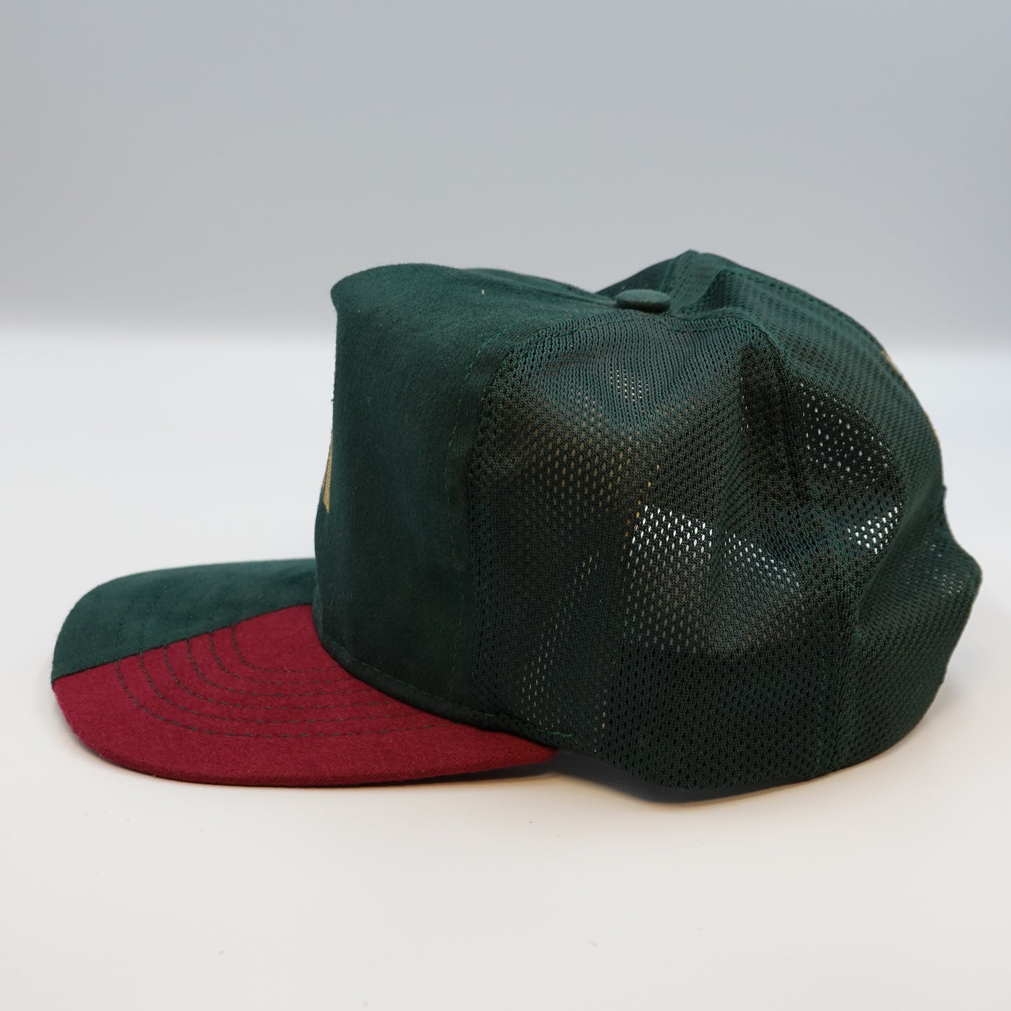 Vintage Mycogen Seeds Snapback Hat
