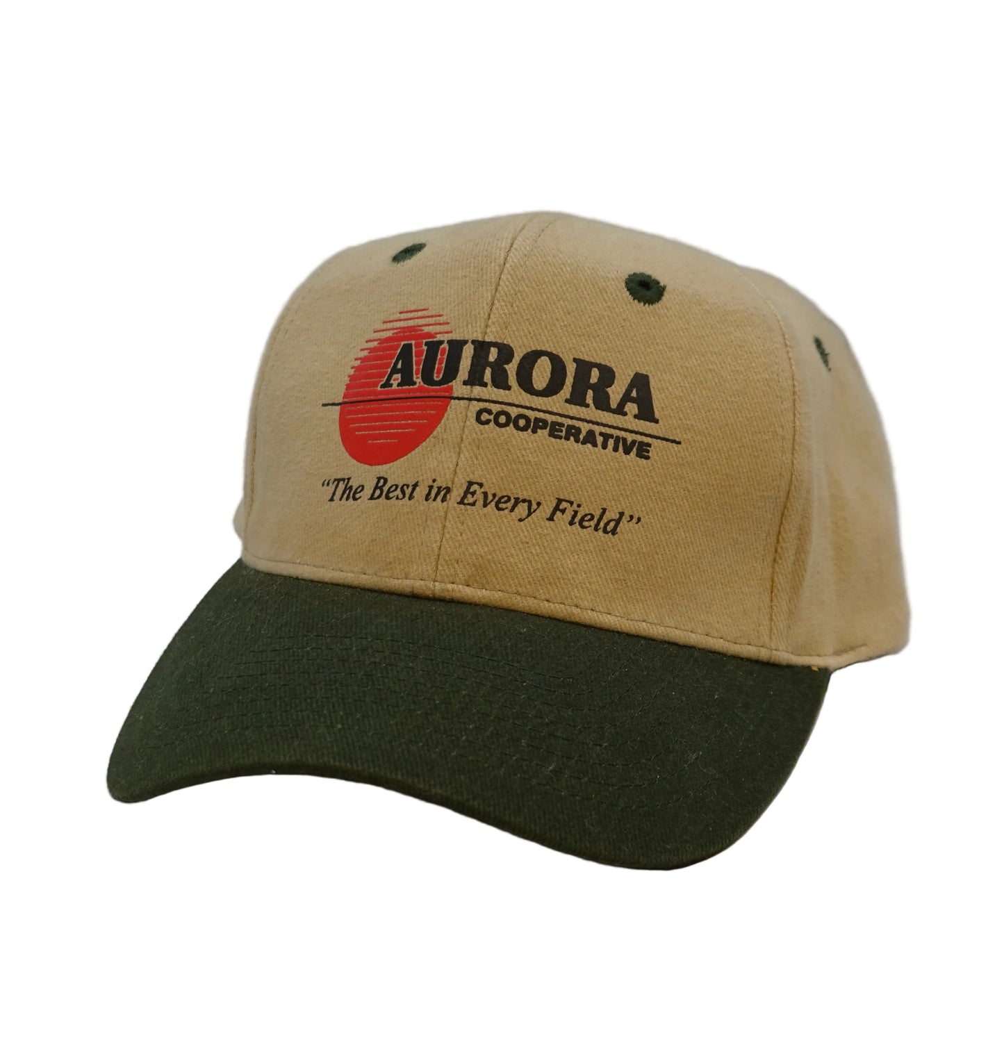 Vintage Aurora Cooperative Snapback Hat