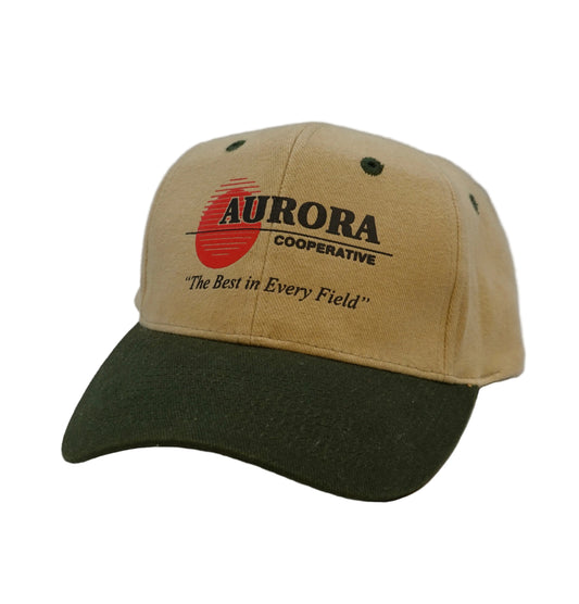 Vintage Aurora Cooperative Snapback Hat