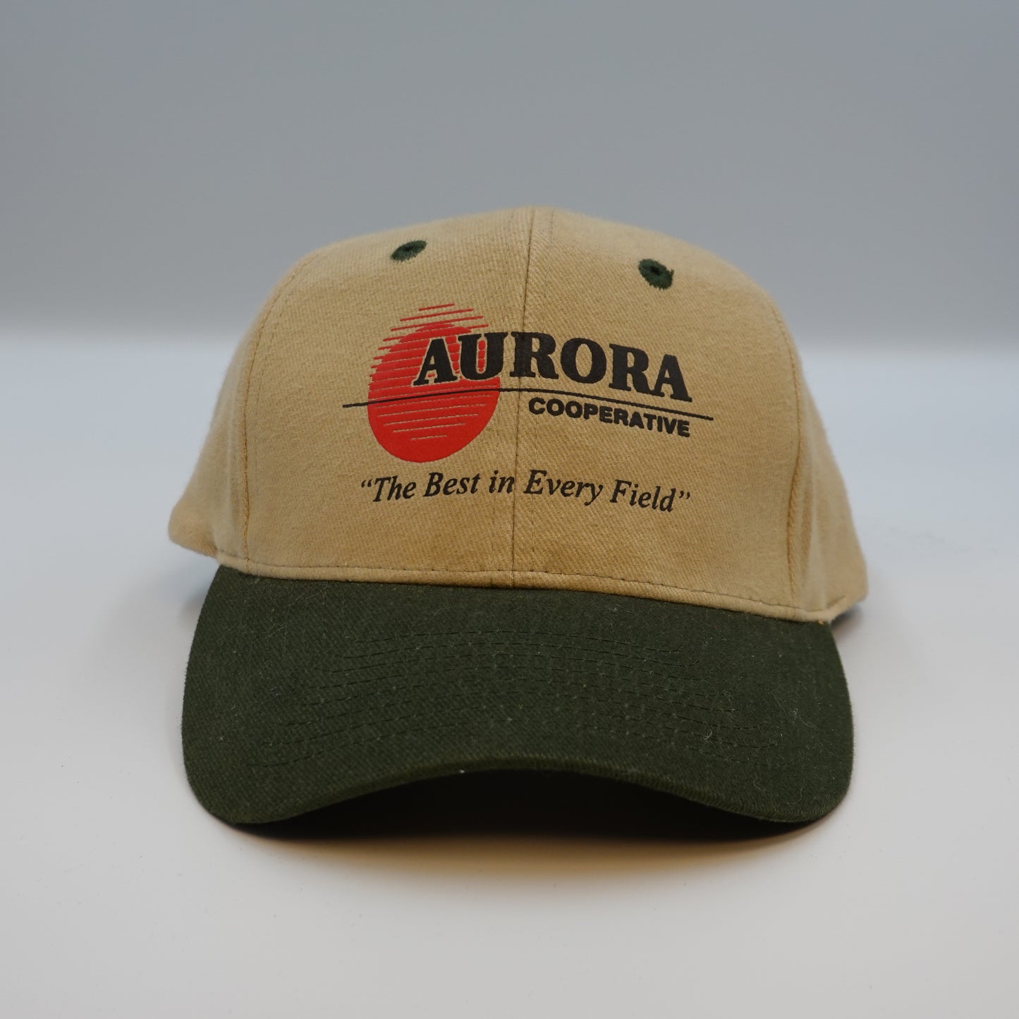 Vintage Aurora Cooperative Snapback Hat