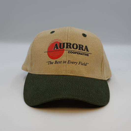 Vintage Aurora Cooperative Snapback Hat