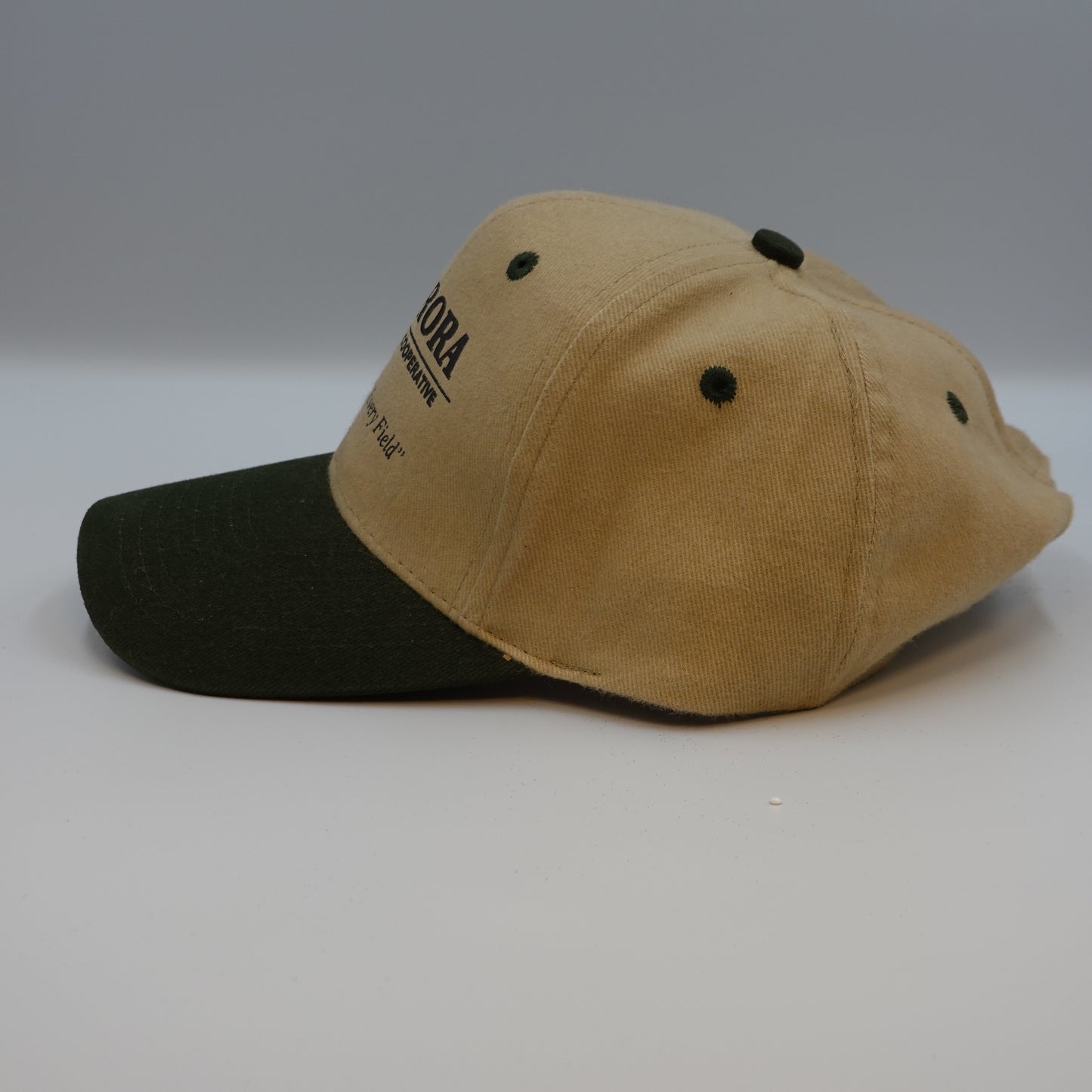 Vintage Aurora Cooperative Snapback Hat