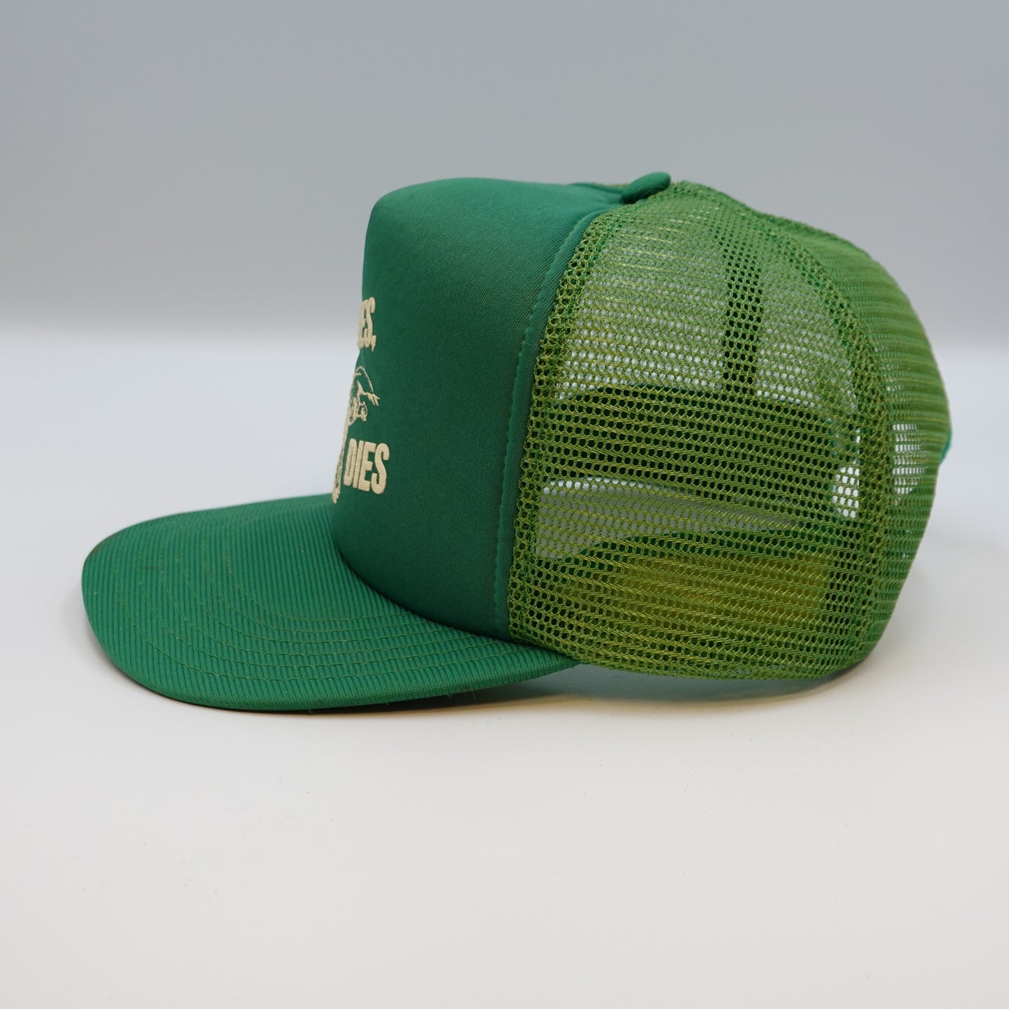 Vintage 'IF IT FLIES IT DIES' Snapback Hat