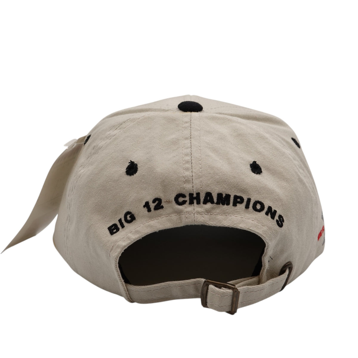Vintage Nebraska Huskers 1999 Big 12 Champions Strapback Hat NWT
