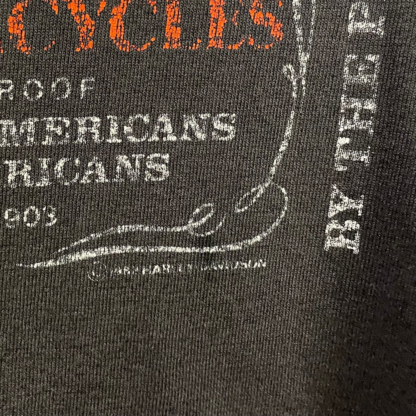 Vintage Harley Davidson x Jack Daniels Long Sleeve Shirt L
