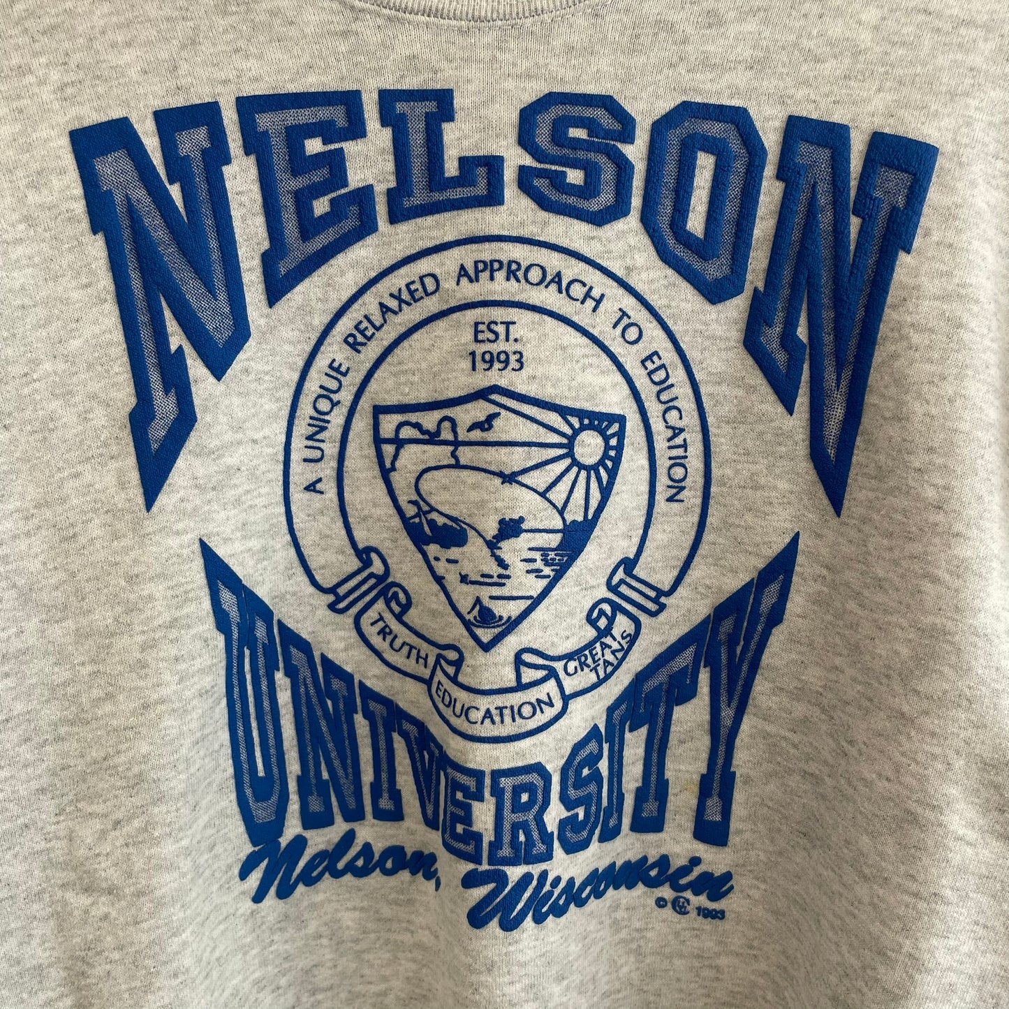 Vintage University of Wisconsin Nelson 1993 w/ Back Hit Crewneck L