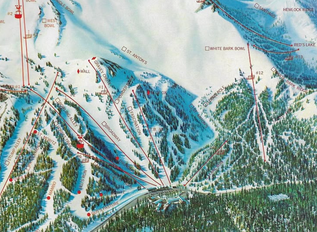 Vintage Ski Map