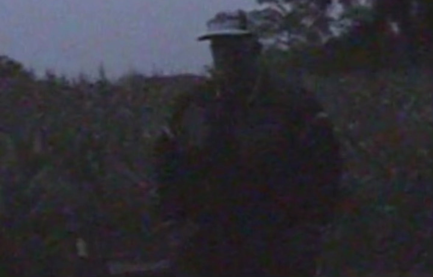 Load video: Behind-the-scenes camcorder video of a Nebraska cornfield photoshoot featuring my grandpa modeling vintage Husker clothing and 90s Nebraska apparel.